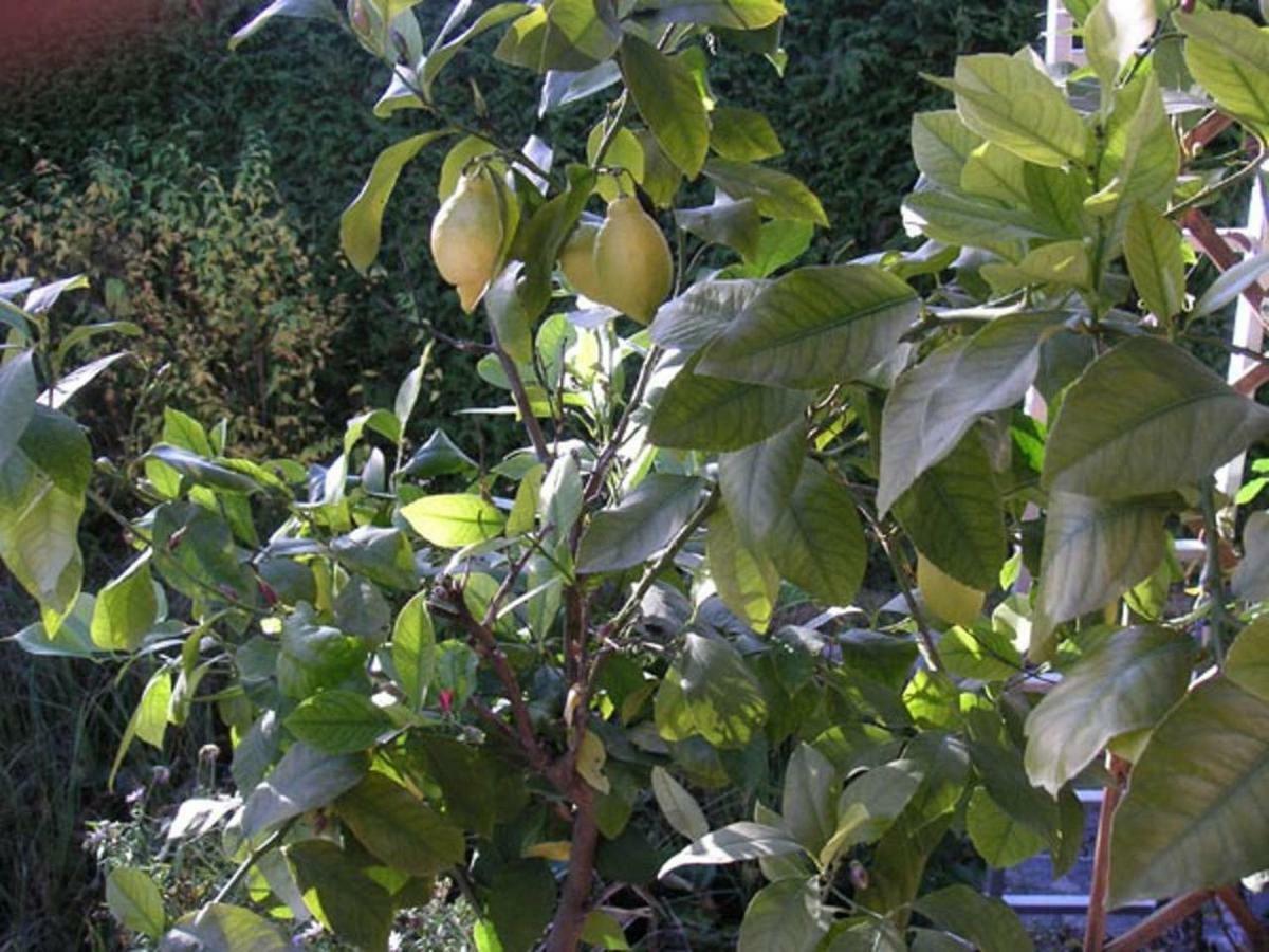 My Sweet Home Sauerlach Zewnętrze zdjęcie